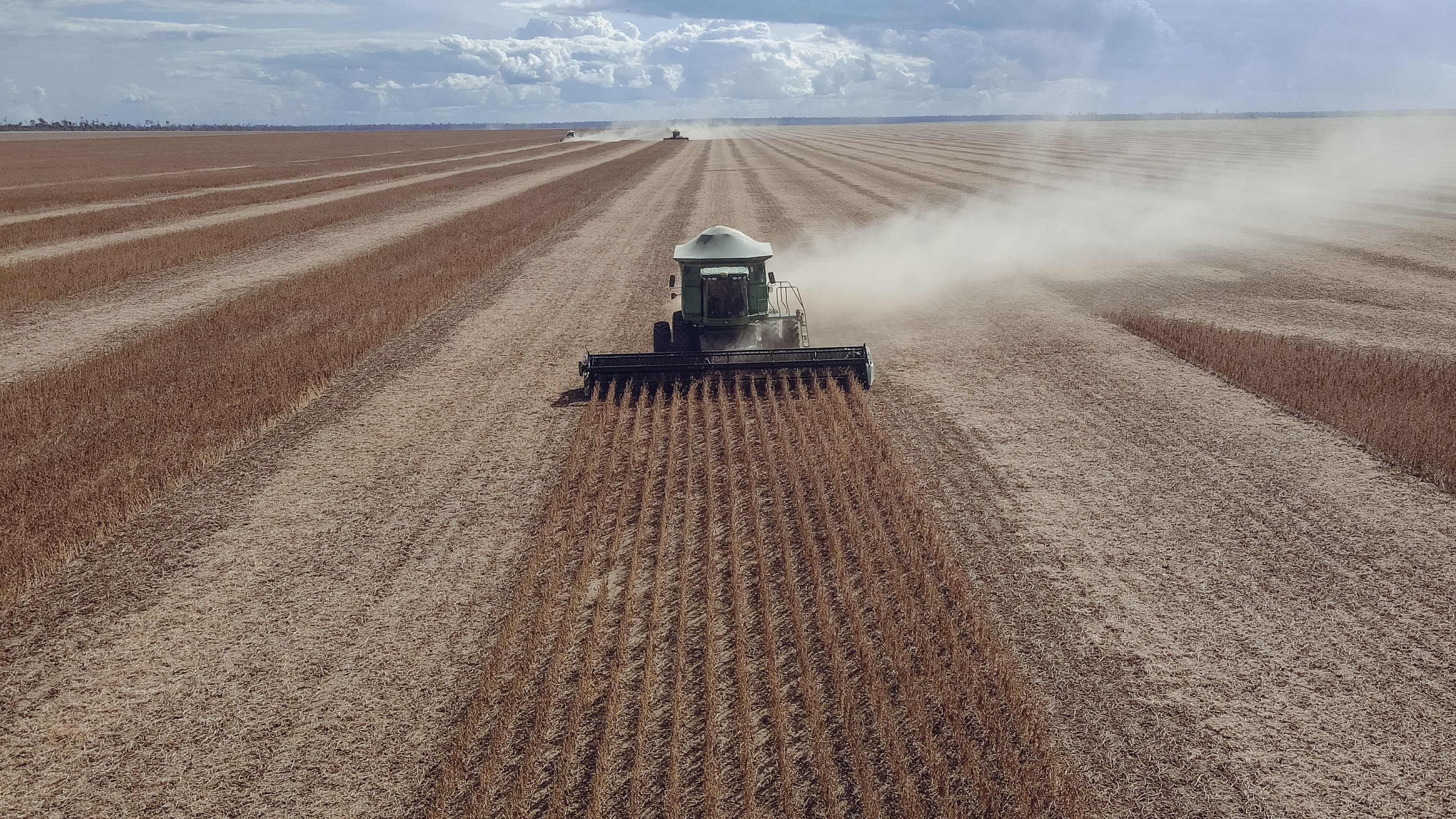 Bayer's Roundup Win: Supreme Court Curbs Glyphosate Lawsuits